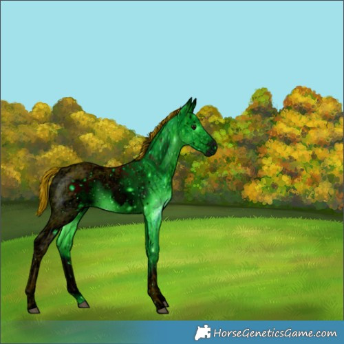 Horse Color:Unknown 