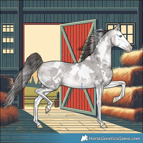 Horse Color:Platinum White Spotted Amber Cream Champagne Splash Rabicano 