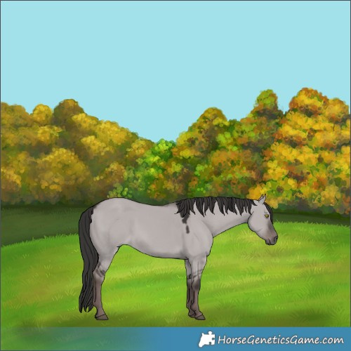 Horse Color:Platinum White Spotted Liver Red Dun 