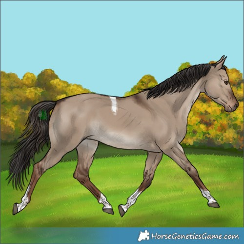 Horse Color:Liver Red Dun Tobiano Rabicano 