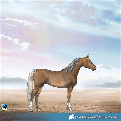 Horse Color:Silver Buckskin Rabicano