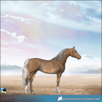 Horse Color:Silver Buckskin Rabicano 
