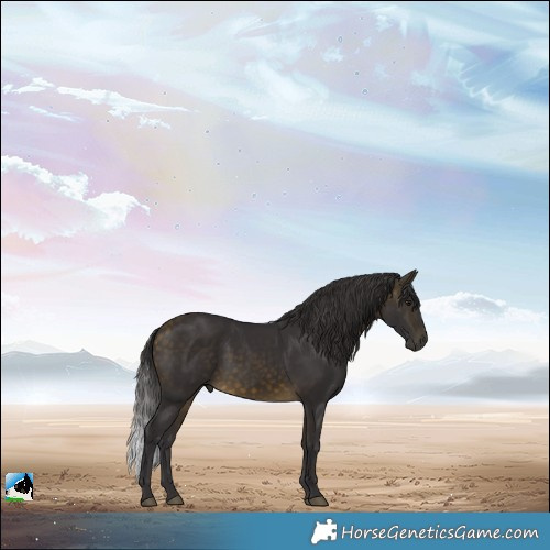 Horse Color:Buckskin Rabicano 