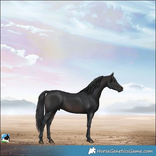 Horse Color:White Spotted Brown Mushroom Rabicano 