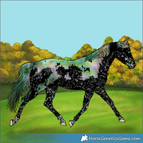 Horse Color:Void Watercolor Plaid  White Spotted Liver Red Onyx Splash Tobiano 
