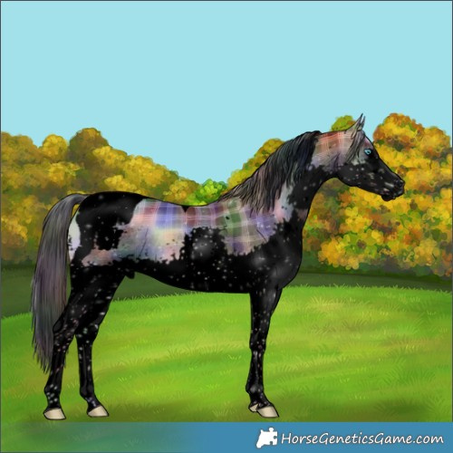 Horse Color:Void Nacre Plaid  Liver Red Onyx Splash Tobiano 
