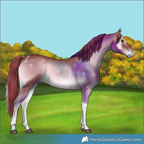 Horse Color:Watercolor Liver Red Onyx Tobiano 