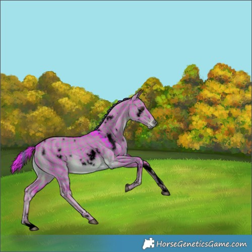 Horse Color:Void Watercolor Plaid  White Spotted Liver Red Dun 