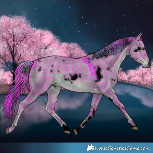 Horse Color:Void Watercolor Plaid  White Spotted Liver Red Dun 