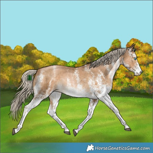 Horse Color:White Spotted Chocolate Palomino Pearl 
