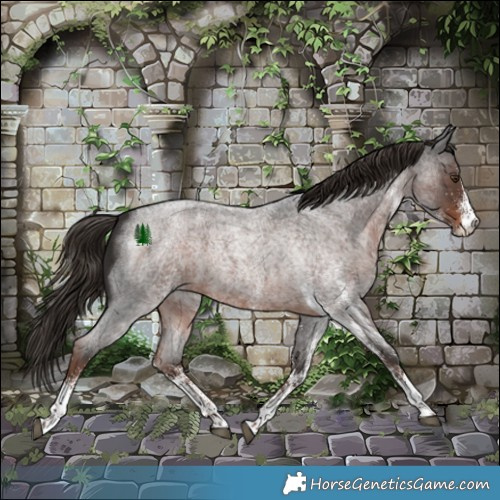 Horse Color:White Spotted Liver Red Roan