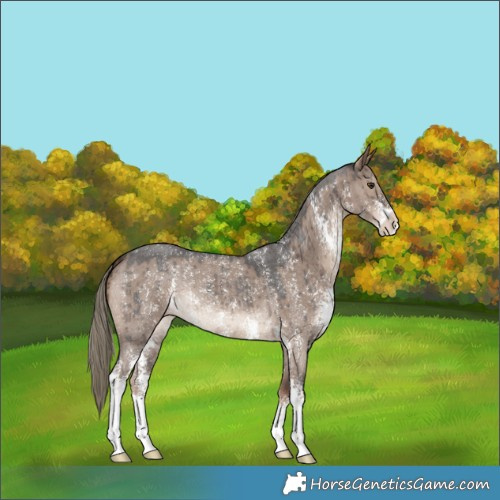 Horse Color:Liver Red Dun Sabino Brindle 