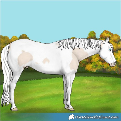 Horse Color:Silver Smoky Creme Splash Tobiano