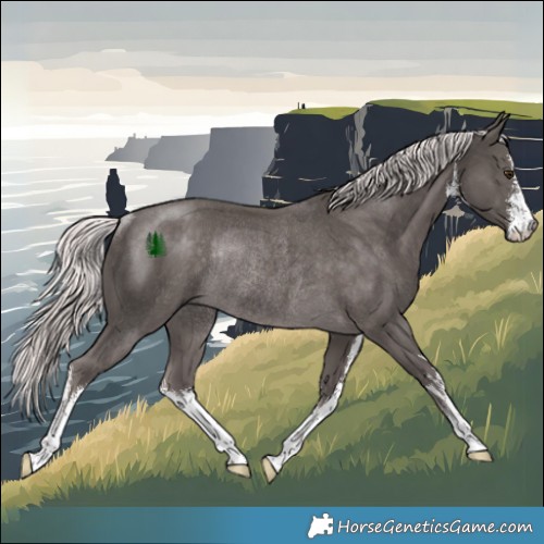 Horse Color:Platinum White Spotted Chocolate Palomino Rabicano 