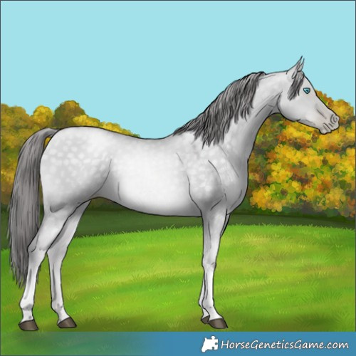 Horse Color:Platinum Buckskin Snowdrop Dun Tobiano 