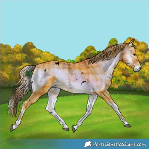 Horse Color:Void Watercolor Plaid  White Spotted Liver Red Onyx Ice Brindle 
