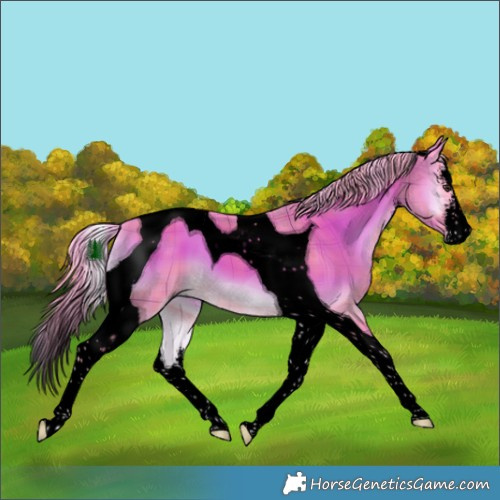 Horse Color:Void Watercolor Plaid  White Spotted Chocolate Palomino Onyx Tobiano 