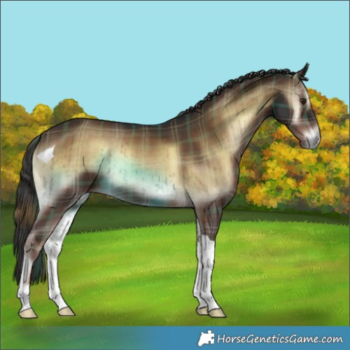 Horse Color:Plaid  Liver Red Onyx Tobiano Brindle 