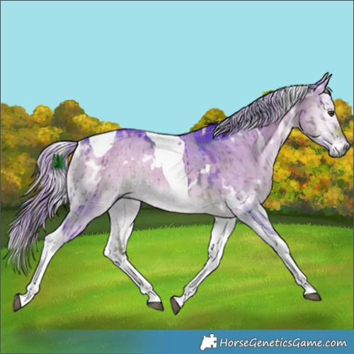 Horse Color:Watercolor Plaid  White Spotted Chocolate Palomino Onyx Tobiano Brindle 