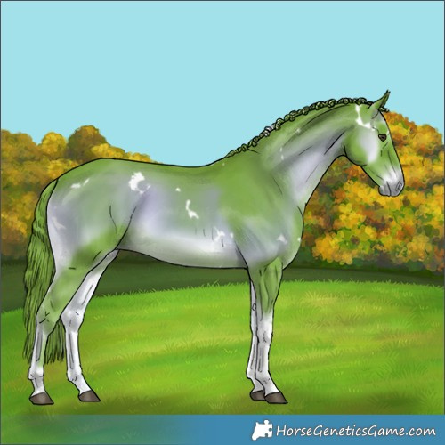 Horse Color:Watercolor White Spotted Liver Red Onyx Tobiano Rabicano 