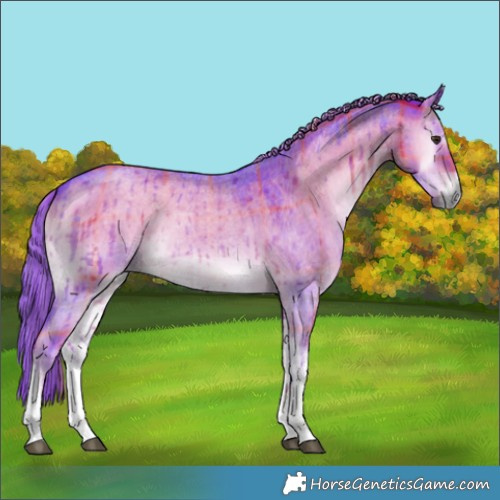 Horse Color:Watercolor Plaid  White Spotted Liver Red Dun Roan Onyx Brindle 
