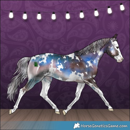 Horse Color:Plaid White Spotted Chocolate Palomino Onyx Splash Rabicano