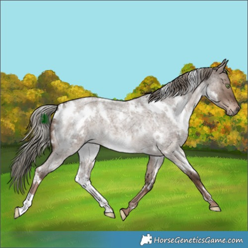 Horse Color:White Spotted Liver Red Dun Roan Mushroom 