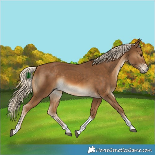 Horse Color:Chocolate Palomino Tobiano Rabicano
