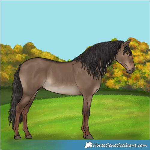 Horse Color:Liver Red Dun 