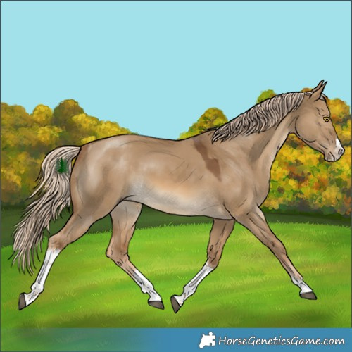 Horse Color:Chocolate Palomino Dun Splash Tobiano Rabicano 
