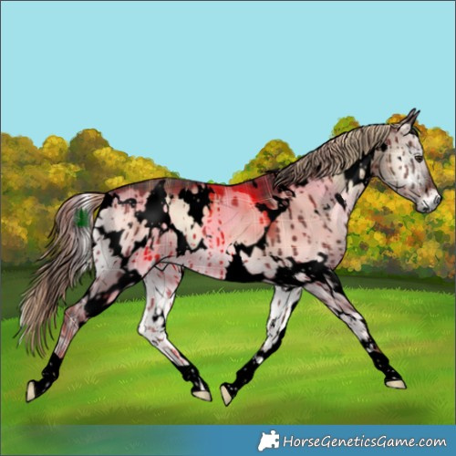 Horse Color:Void Plaid White Spotted Liver Red Dun Onyx Brindle