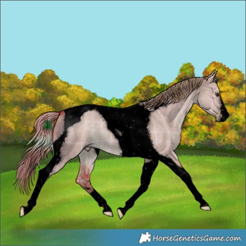 Horse Color:Void Watercolor Plaid Liver Red Dun Tobiano