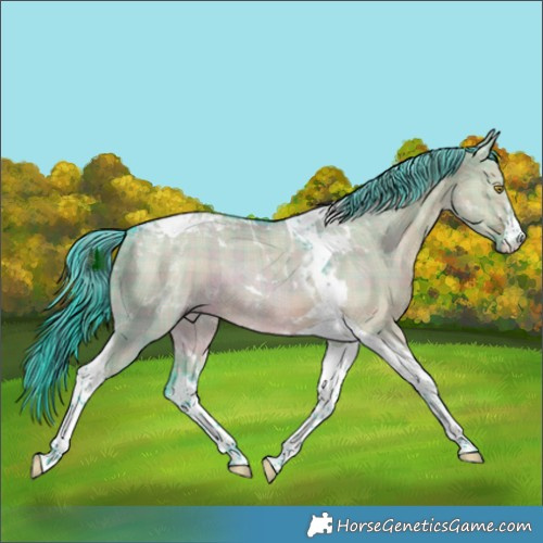 Horse Color:Watercolor Plaid  White Spotted Liver Red Dun Tobiano Rabicano 
