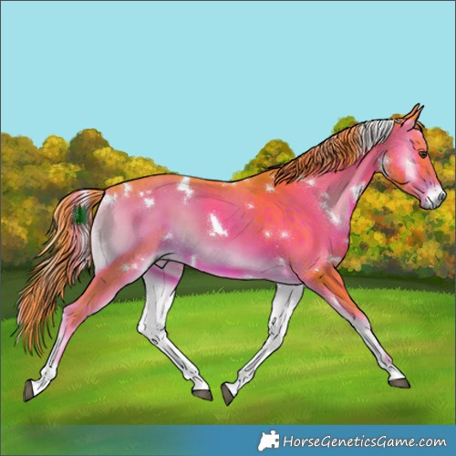 Horse Color:Watercolor White Spotted Liver Red Onyx