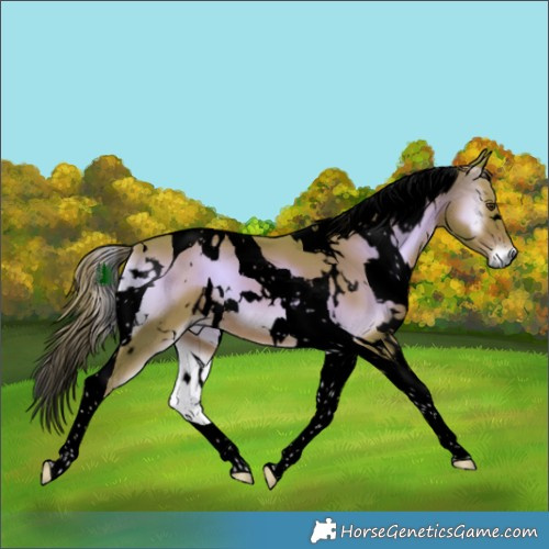 Horse Color:Void Watercolor White Spotted Liver Red Onyx Tobiano