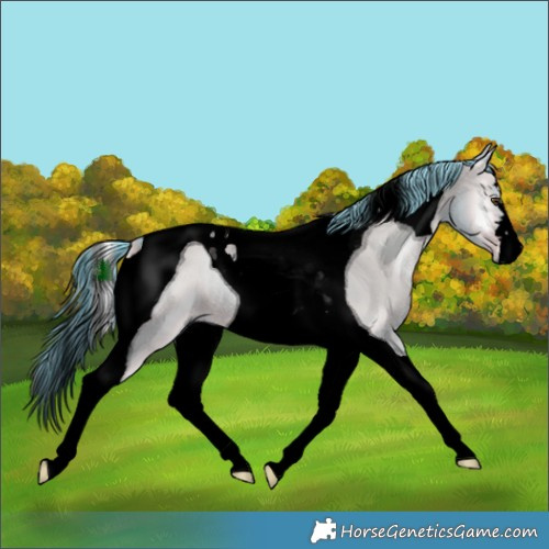 Horse Color:Void Watercolor Liver Red Dun Onyx Tobiano 