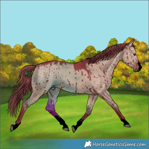 Horse Color:Void Watercolor Liver Red Dun Brindle 