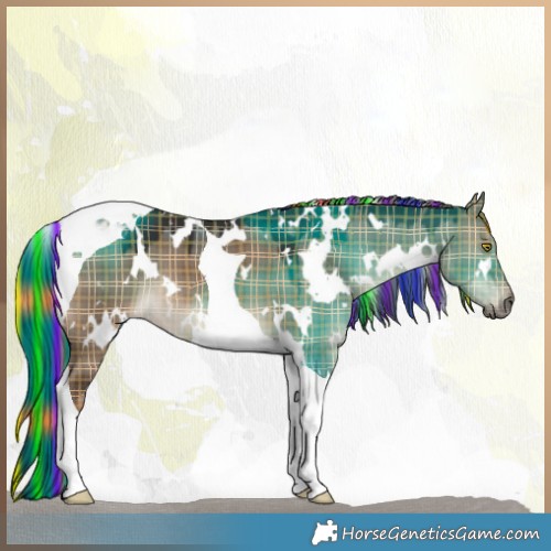 Horse Color:Painted Plaid  White Spotted Liver Red Dun Tobiano 
