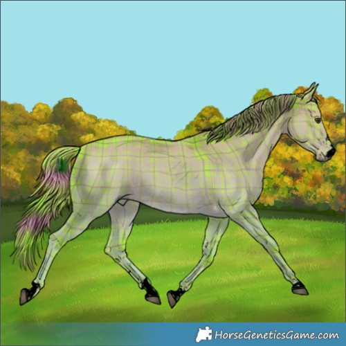 Horse Color:Void Watercolor Plaid  Liver Red Dun Brindle 
