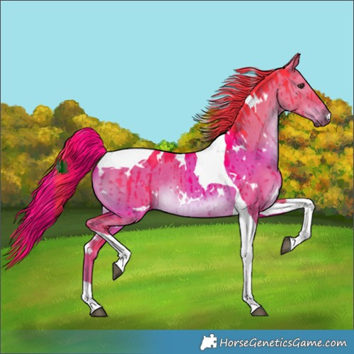 Horse Color:Watercolor White Spotted Liver Red Dun Tobiano Brindle 