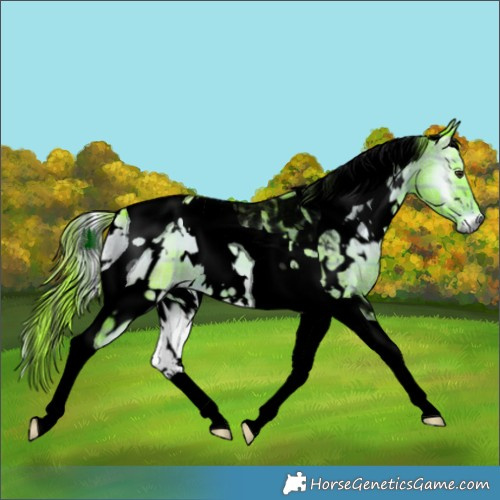 Horse Color:Void Watercolor Plaid  White Spotted Liver Red Onyx Tobiano 