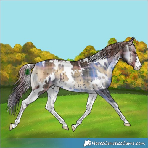 Horse Color:Plaid  White Spotted Liver Red Onyx 