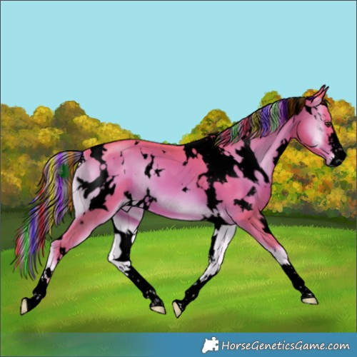 Horse Color:Void Painted Watercolor White Spotted Liver Red Onyx 