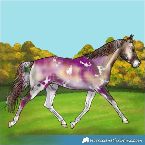 Horse Color:Plaid White Spotted Liver Red Onyx