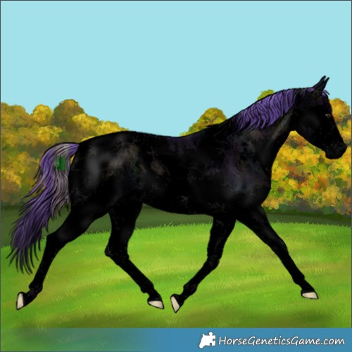 Horse Color:Void Watercolor White Spotted Midnight Liver Red Onyx Ice Splash Tobiano 