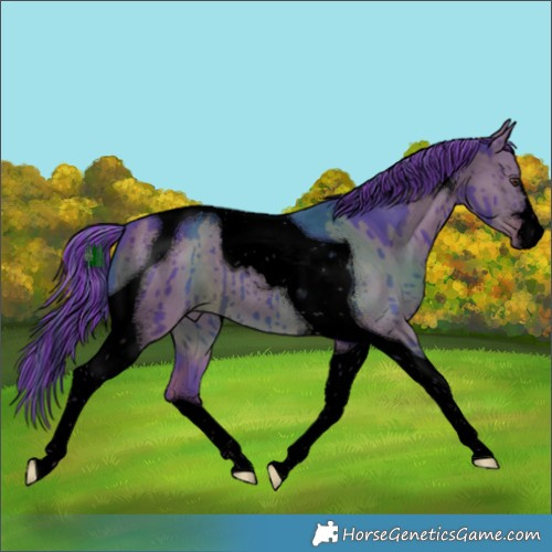 Horse Color:Void Painted Watercolor Liver Red Dun Tobiano Brindle