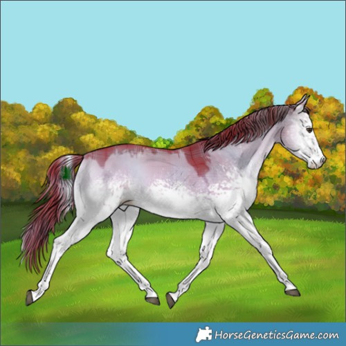 Horse Color:Watercolor Plaid White Spotted Liver Red Dun Onyx Tobiano