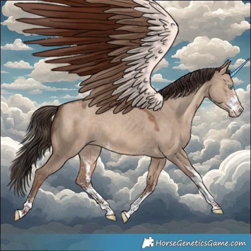 Horse Color:Sable Champagne Dun Sabino