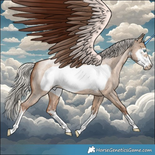 Horse Color:Silver Brown Roan Pearl Dun Sabino Frame 