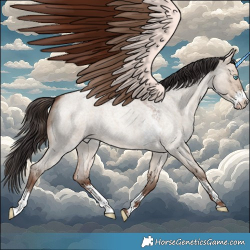 Horse Color:Sable Champagne Roan Dun Sabino 